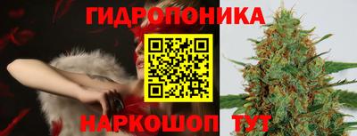 СК Моздок
